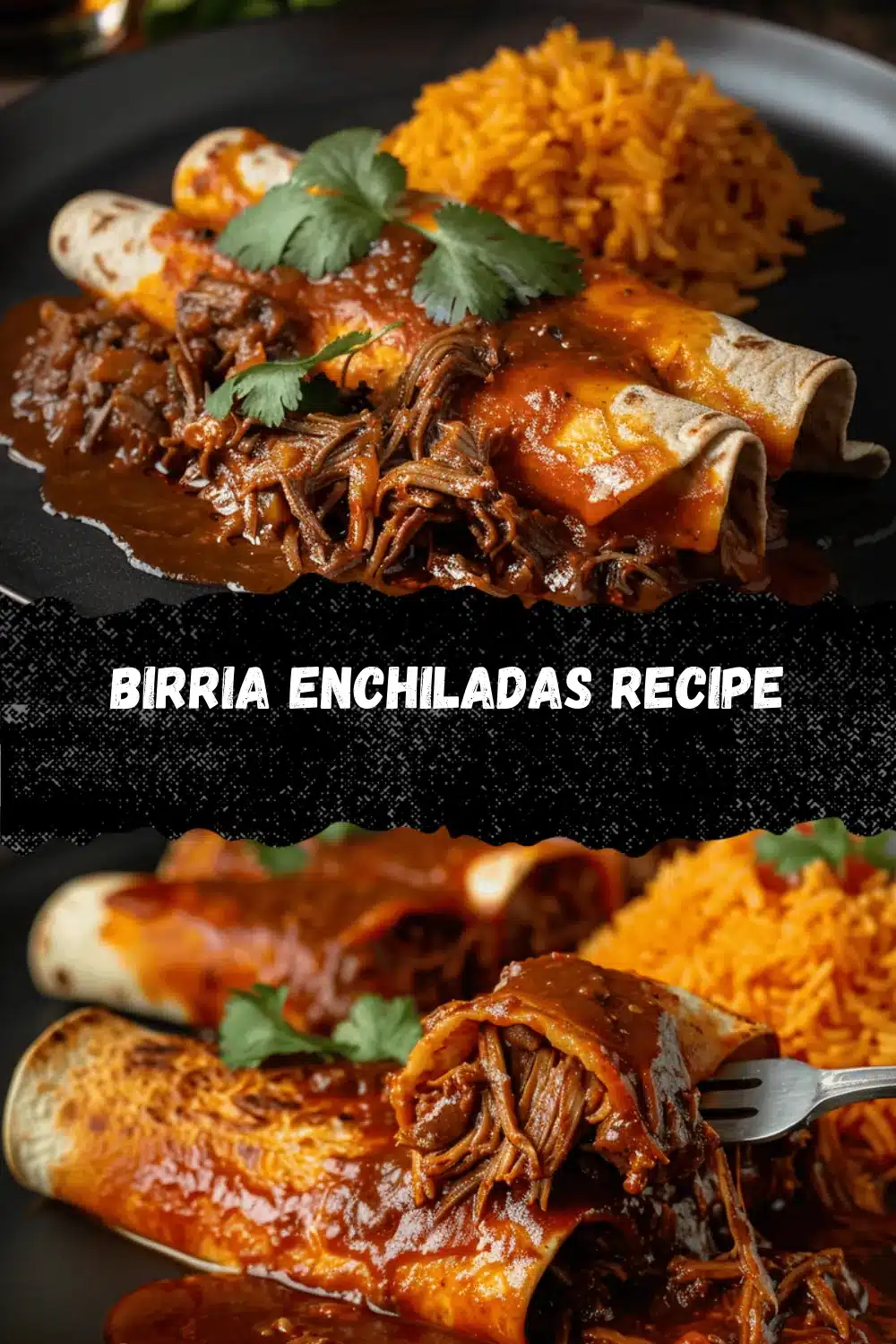 birria enchiladas recipe