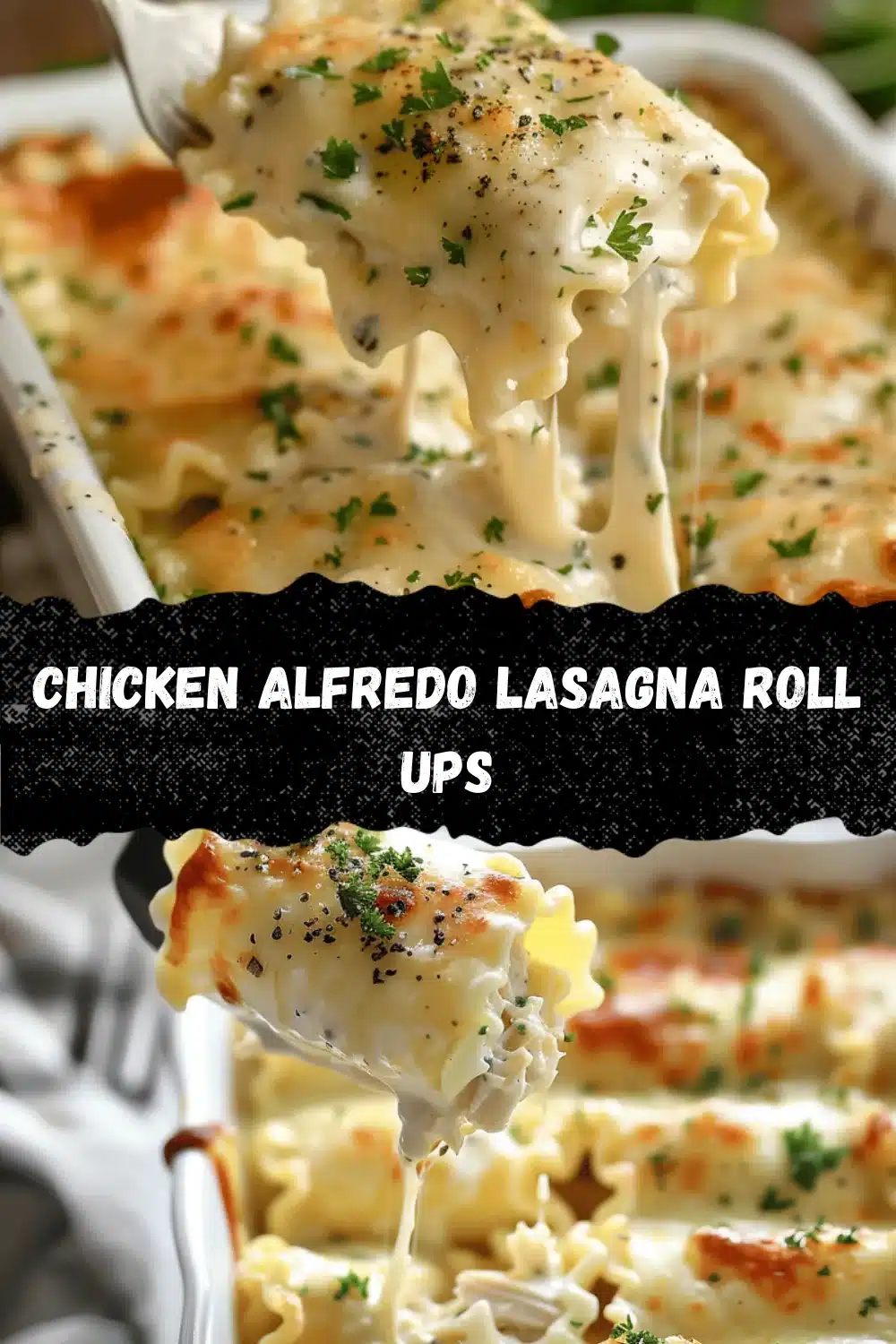 chicken alfredo lasagna roll ups recipe